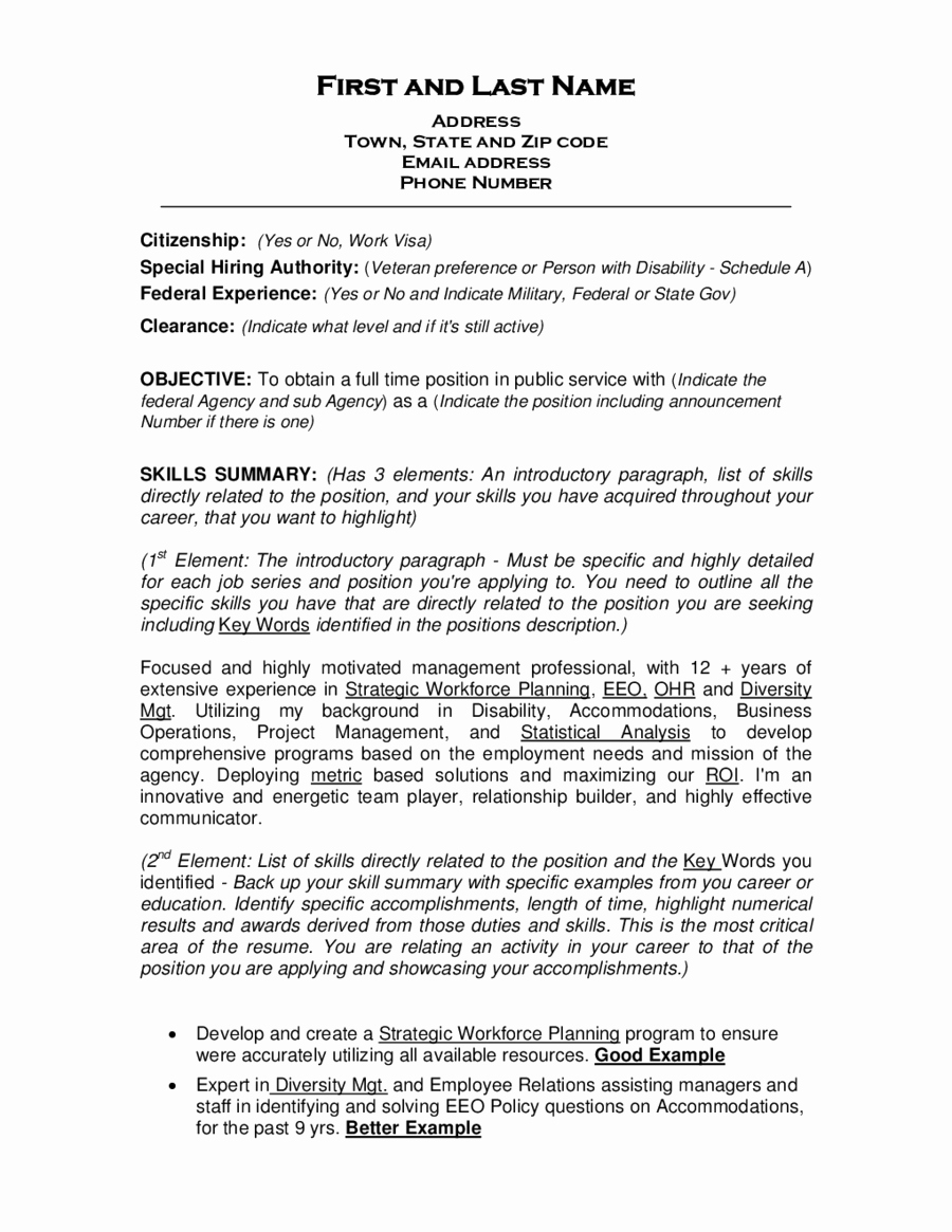 Controller Resumes Examples Lovely Objective Resumes Examples Oyle Kalakaari