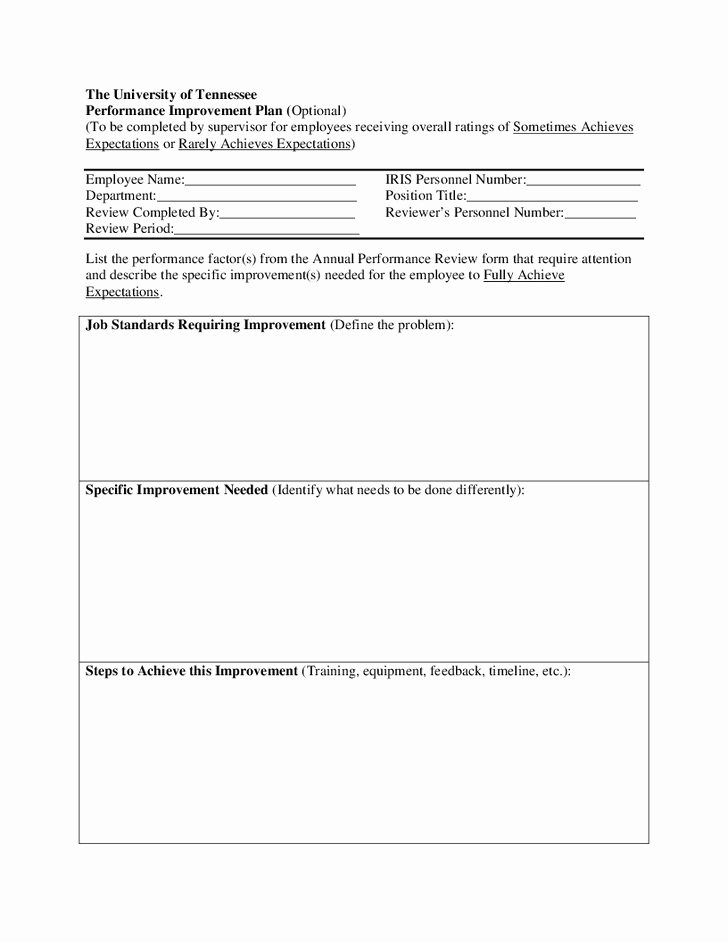 Employee Improvement Plan Templates Awesome 28 Of Performance Improvement form Template
